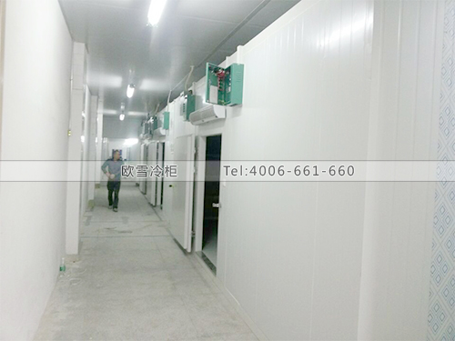 藥品冷藏庫.jpg