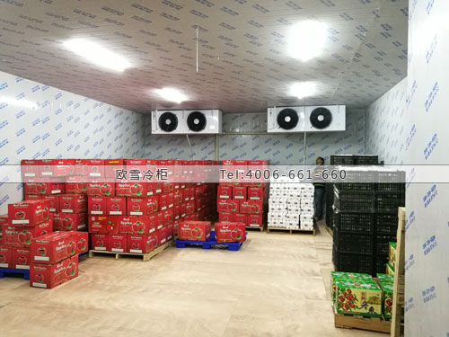 水果直銷(xiāo)中心冷庫(kù).jpg