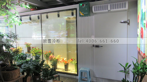 透明玻璃鮮花保鮮冷庫.jpg