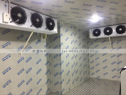 深圳醫(yī)用冷庫.jpg