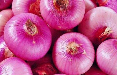 洋蔥冷庫.jpg 洋蔥冷庫.jpg