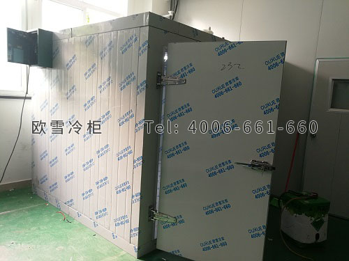 工業(yè)冷庫.jpg
