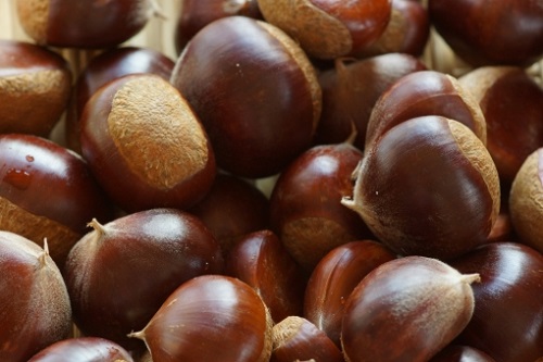 1637571177878425.jpg 板栗.jpg