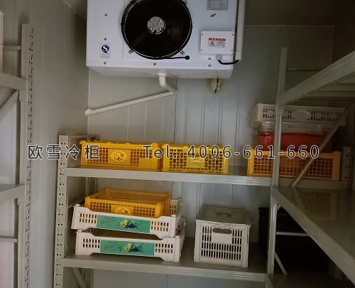 水果保鮮冷庫(kù)設(shè)計(jì)建造.jpg 水果保鮮冷庫(kù)設(shè)計(jì)建造.jpg