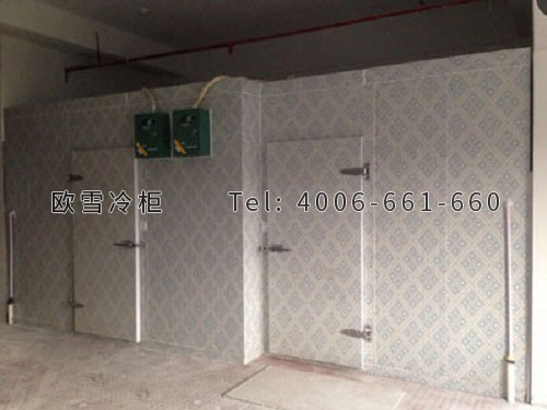 醫(yī)用冷庫(kù)安裝.jpg