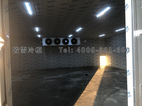 冷凍庫.jpg
