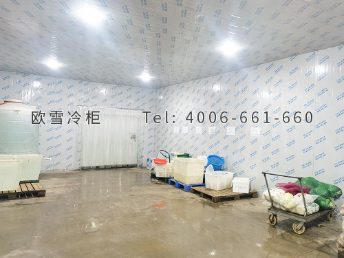 果蔬保鮮冷庫(kù).jpg