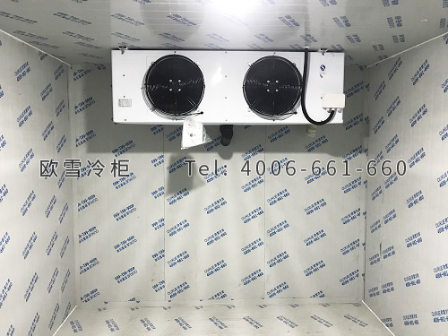 水果保鮮冷庫(kù)安裝.jpg