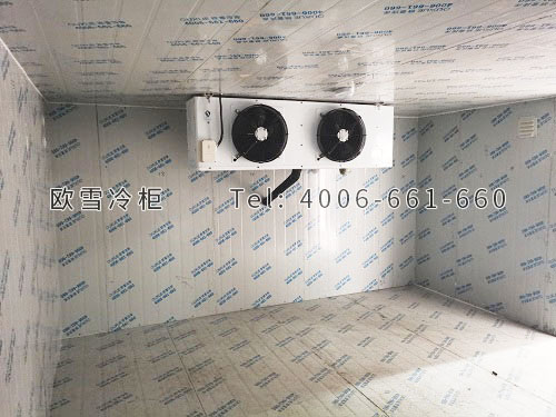 檸檬保鮮冷庫(kù)安裝.jpg