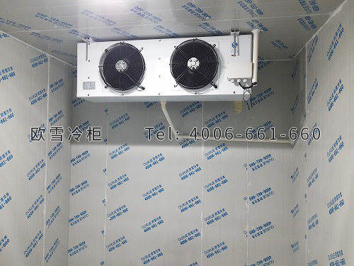 果脯果干冷藏冷庫(kù)安裝.jpg