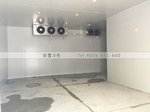 工業(yè)冷庫設計.jpg