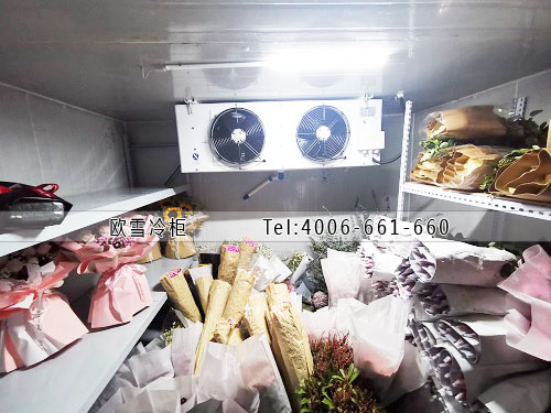 建一個(gè)小型的鮮花保鮮冷庫需要多少錢.jpg