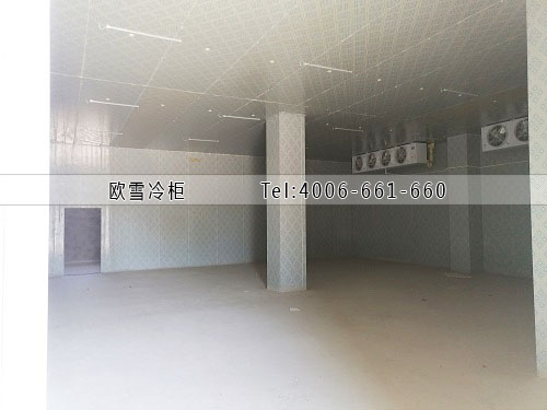 肉類冷藏冷庫安裝.jpg