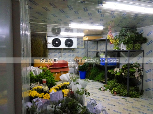 鮮花保鮮冷庫(kù).jpg