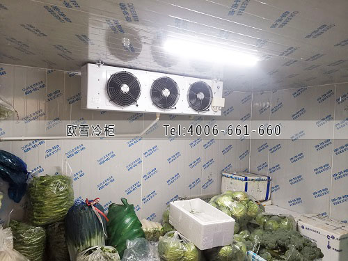 小型冷藏冷庫(kù)安裝.jpg