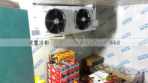 水果保鮮冷庫安裝.jpg