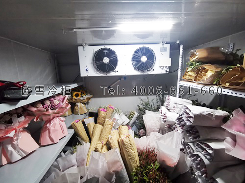 鮮花保鮮冷庫安裝.jpg