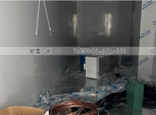 凍庫(kù)建造廠家.jpg