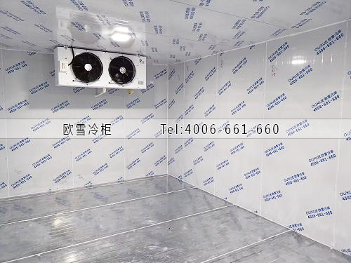 水果保鮮冷庫(kù)安裝.jpg