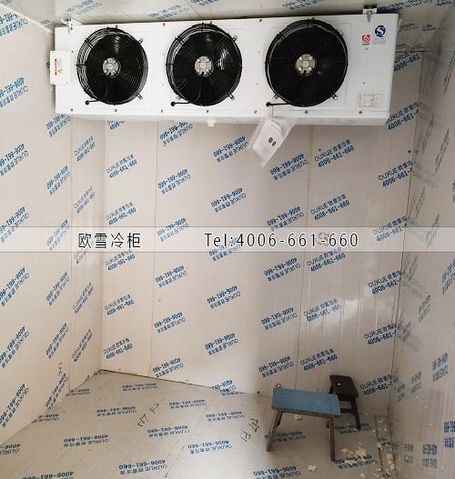 1703582981184906.jpg 1-1.jpg