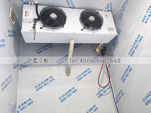 1732094778416418.jpg 1-1.jpg