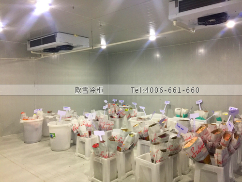 廣東省深圳市福田區(qū)自主創(chuàng)業(yè)孵化基地保鮮庫(kù)