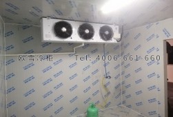 冷庫建設(shè)多少錢一平方？小型冷庫工程安裝建造