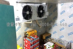 保鮮冷庫安裝-水果店水果保鮮冷庫工程設(shè)計