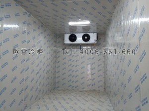 振新(重慶)農(nóng)業(yè)科技開(kāi)發(fā)有限公司電商物流倉(cāng)儲(chǔ)冷庫(kù)安裝