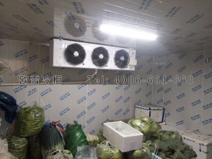 福建省廈門市小型蔬菜農(nóng)產(chǎn)品冷藏冷庫安裝
