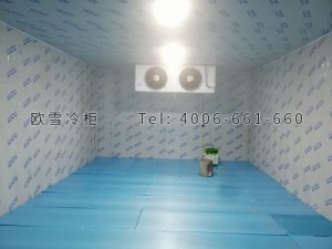 有機(jī)農(nóng)產(chǎn)品供銷專業(yè)合作社倉(cāng)儲(chǔ)冷庫(kù)安裝