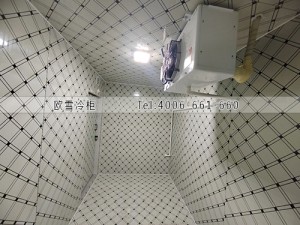 湖南長沙15立方蛋糕原材料冷藏冷庫安裝案例