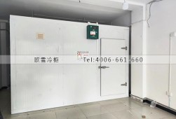 冷庫設(shè)計(jì)-重慶40立方的小型蔬菜保鮮冷庫安裝