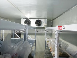天津市龍川凈化工程有限公司小型冷藏冷庫安裝
