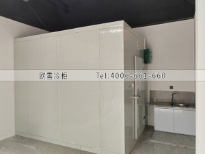 湖南長(zhǎng)沙15立方的小型水果保鮮冷庫(kù)安裝案例