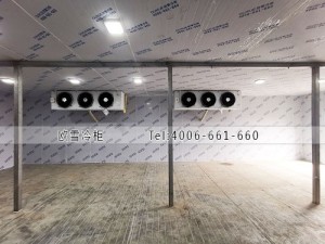 四川省瀘州市肉類冷凍冷庫冷庫安裝案例